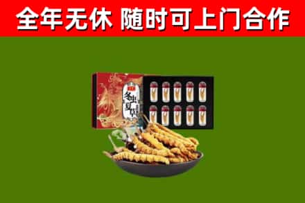 滨城回收冬虫夏草价格